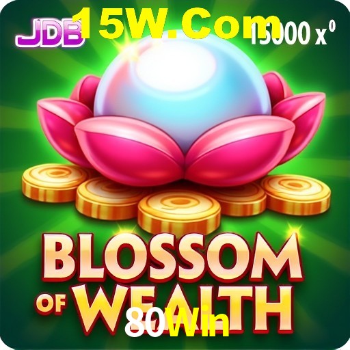 Interface Premium 80Win